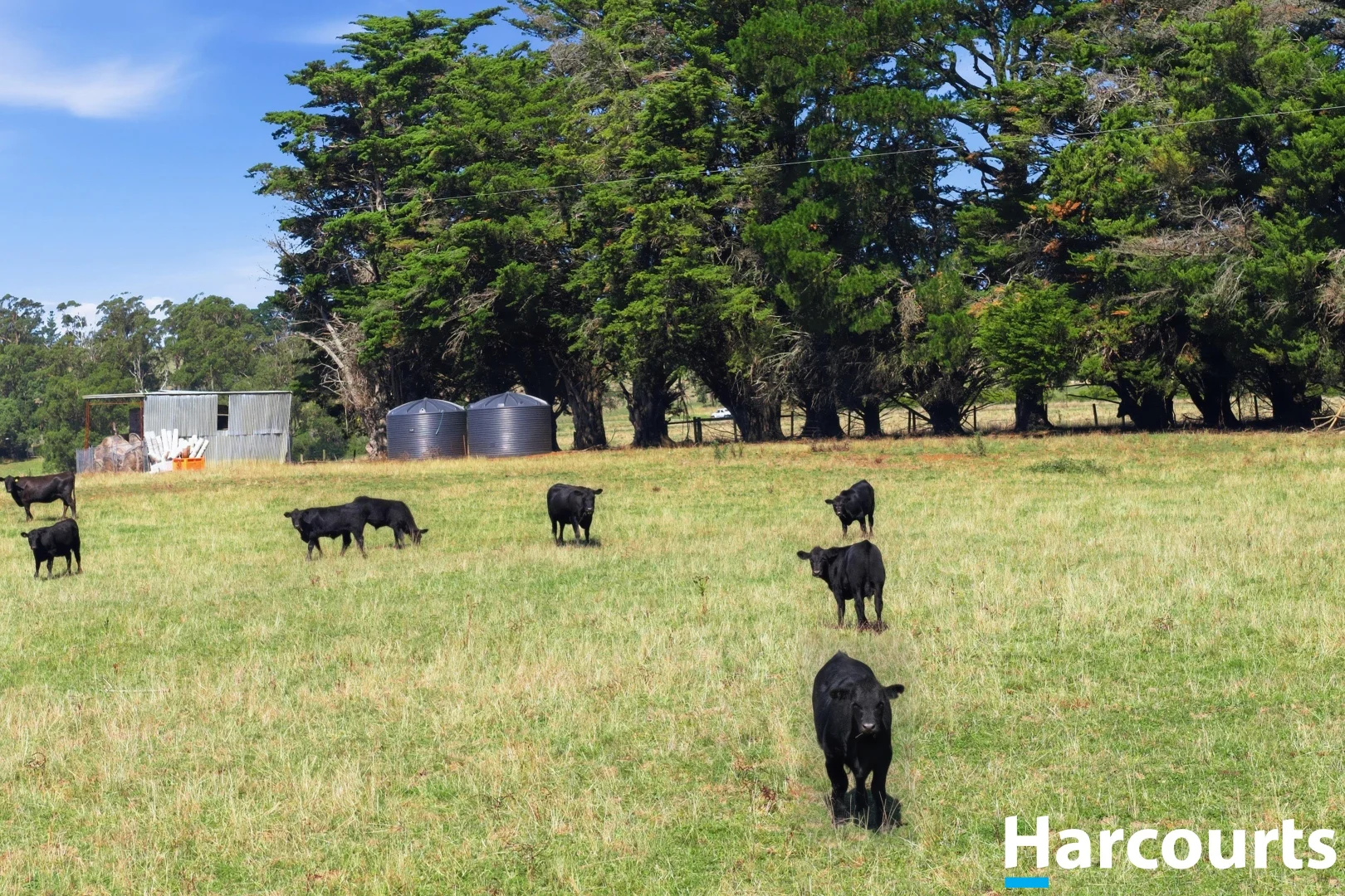 Additional image 17 of 8 Stubbers Lane, Mirboo North VIC 3871