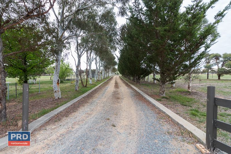 495 Plains Road, Hoskinstown NSW 2621, Image 2