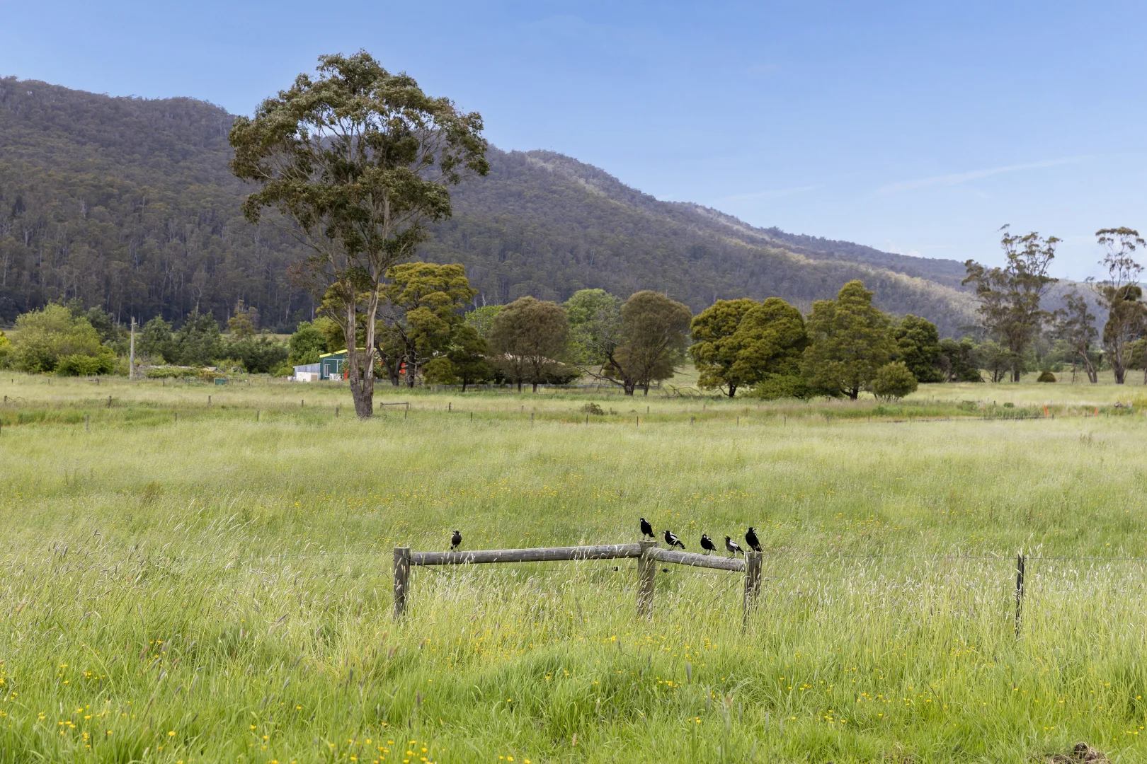 Image 14