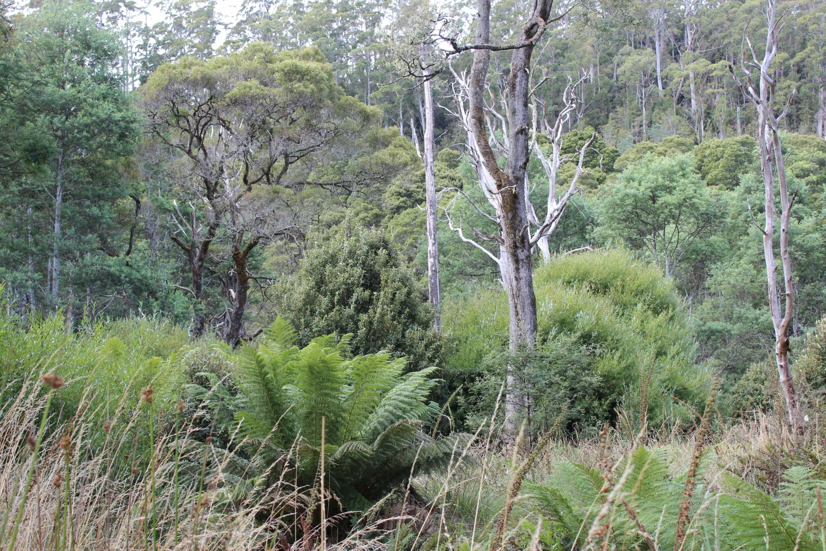 Additional image 10 of 188 Bassetts Road, Calder TAS 7325