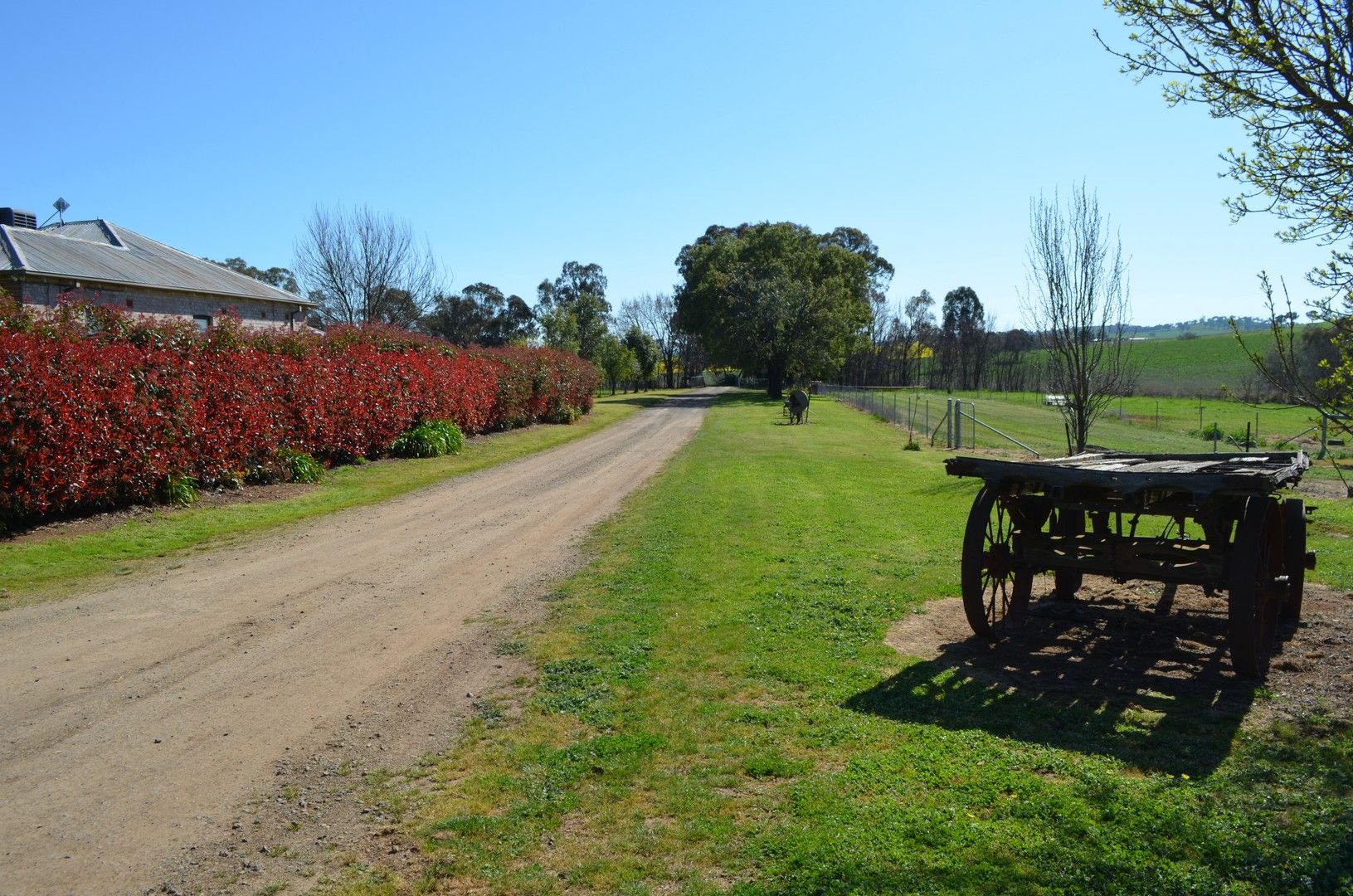 'Green Acres' 270 Jugiong Road, Cootamundra NSW 2590 Farm for Sale