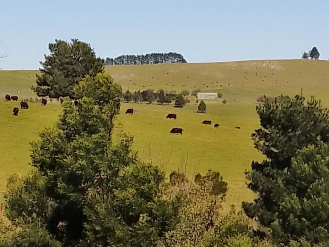 Additional image 20 of 63 Darraby Drive, Moss Vale NSW 2577