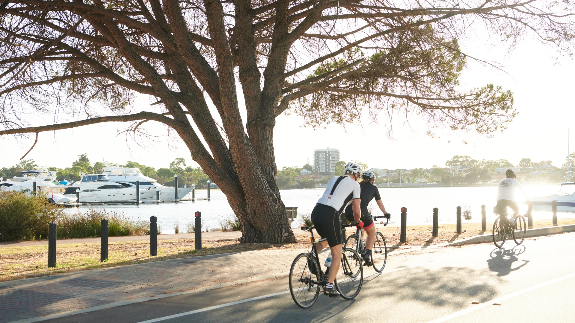 Additional image 10 of 3/18A Tweeddale Road, Applecross WA 6153