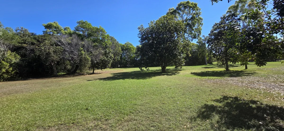 Image 19