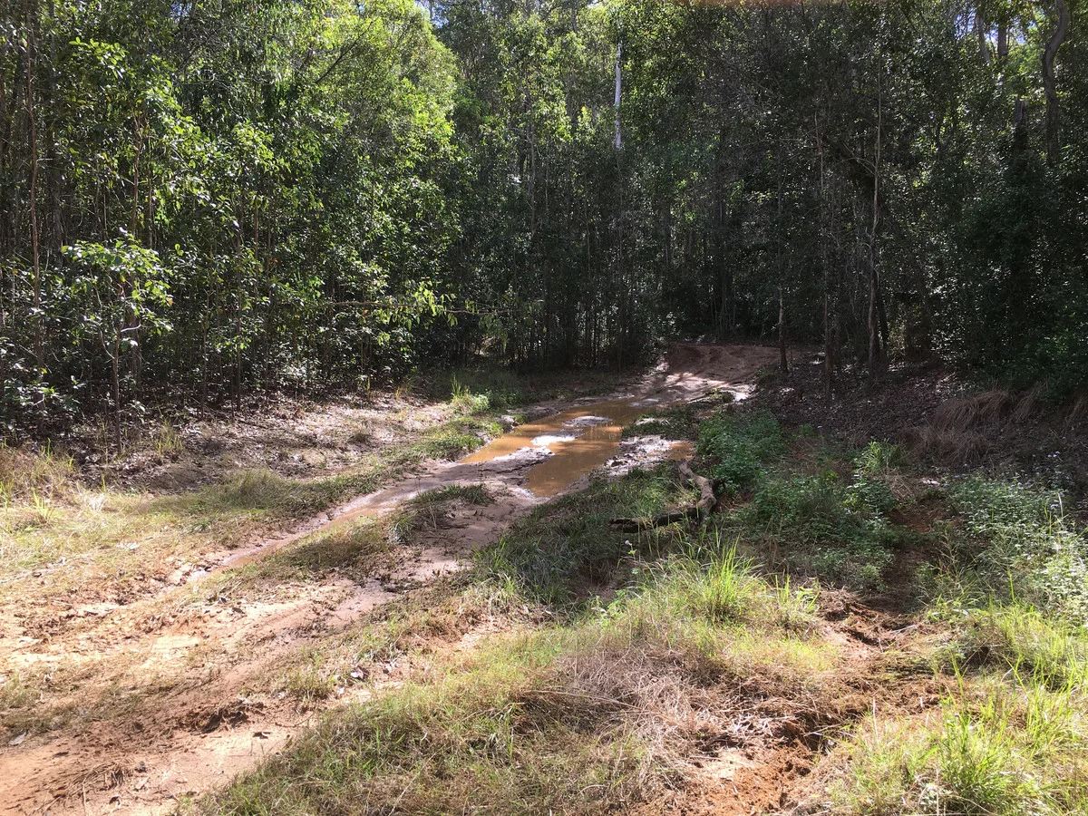Image 15