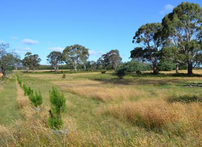 Lot 3/3386 Nugent Road, Buckland TAS 7190, Image 0