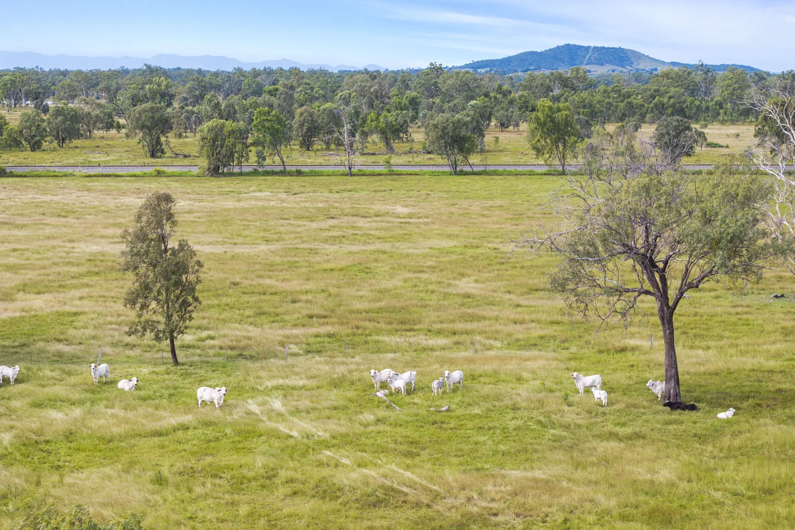 Additional image 2 of 64930 Bruce Highway, Yaamba QLD 4704