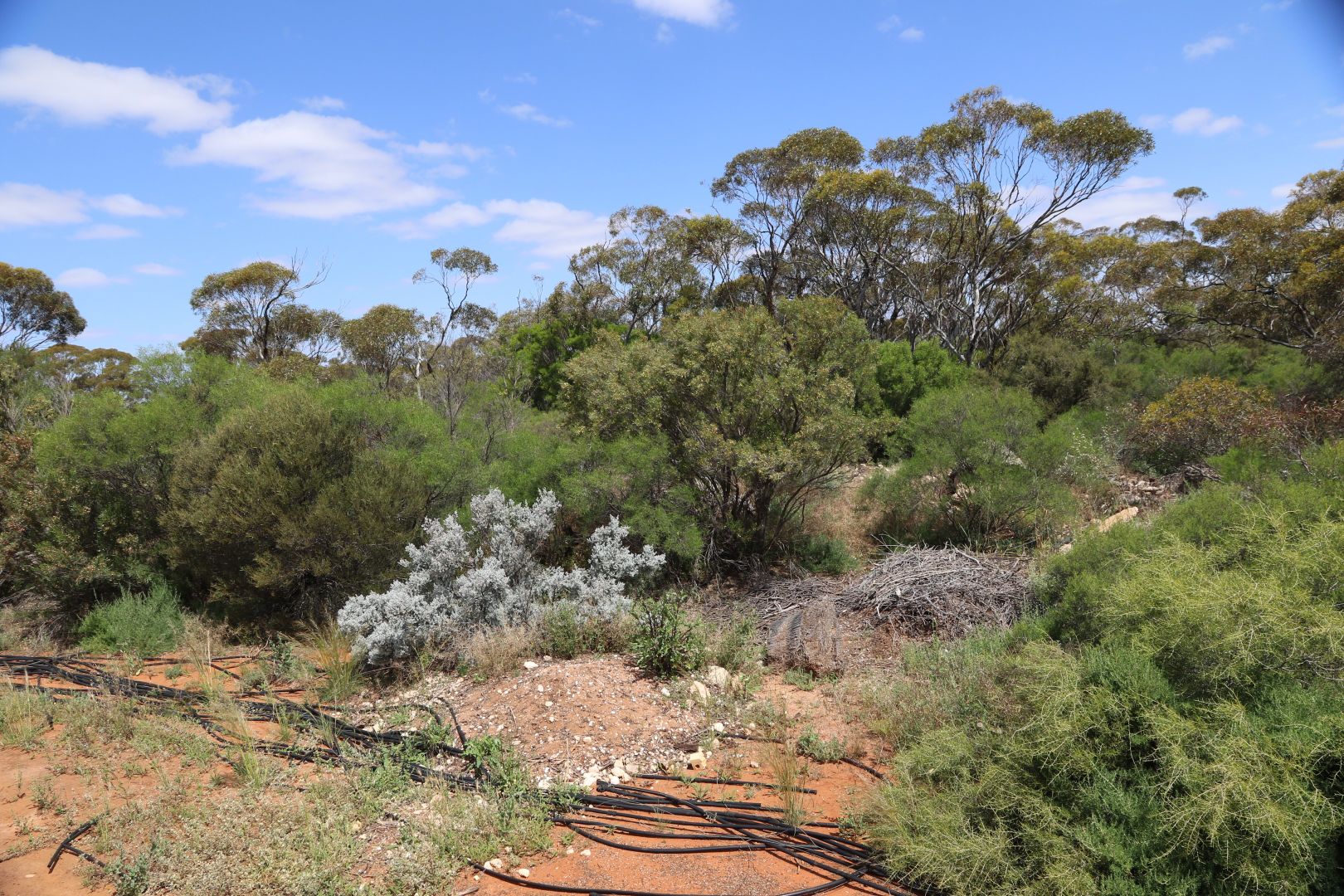 2 Benlow Road, Waikerie SA 5330, Image 1