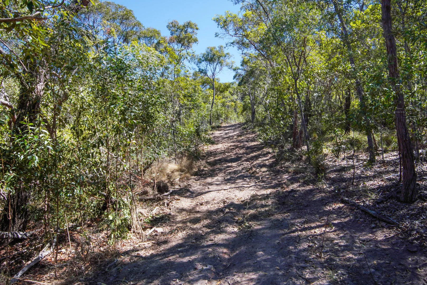 Image 10