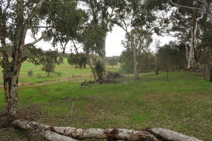 1/101 Echidna Close, Wandering WA 6308, Image 0