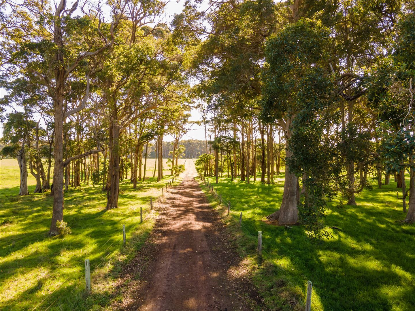 Lot 1002 Redgate Road, Witchcliffe WA 6286, Image 1