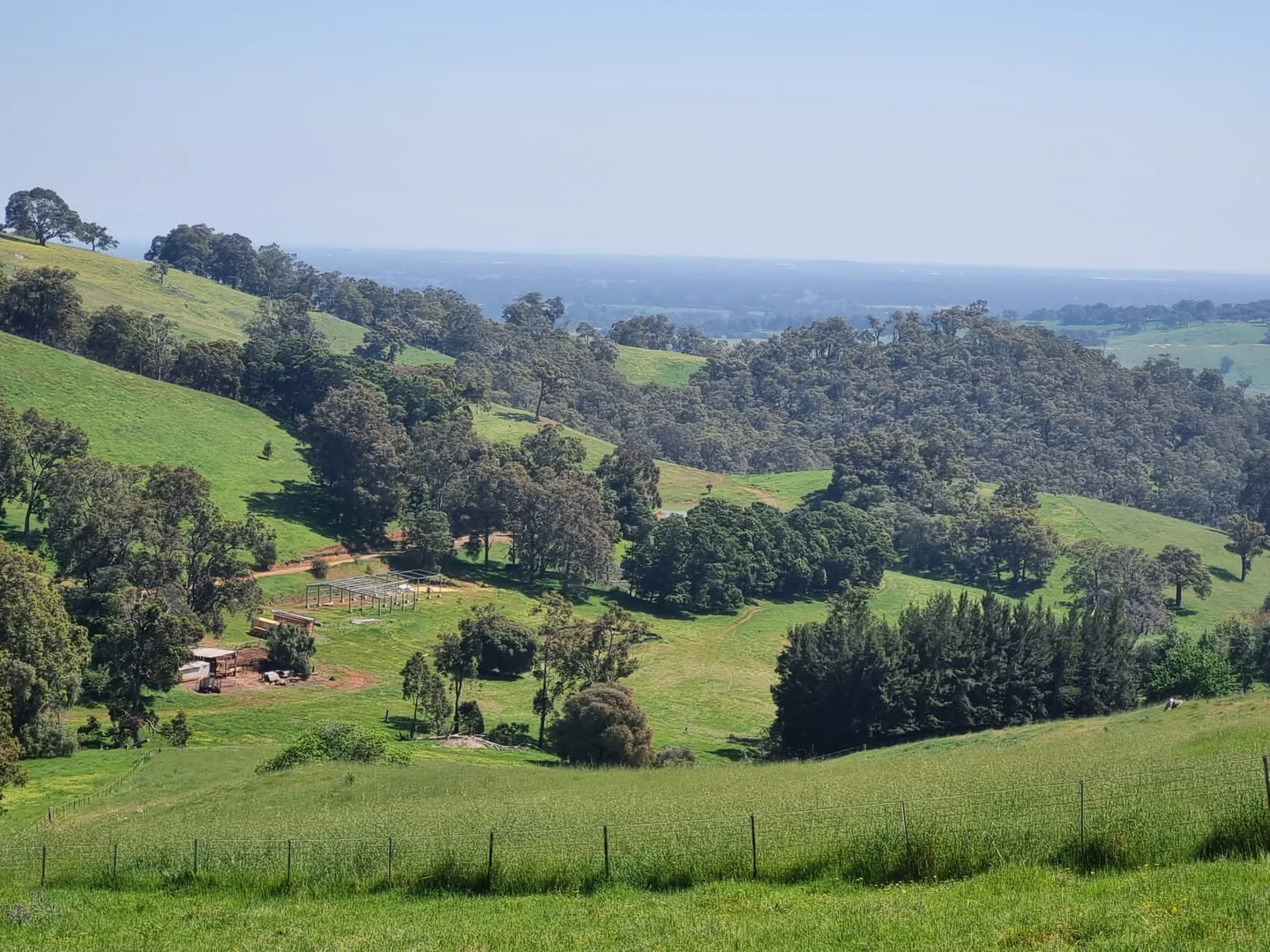 Image 12