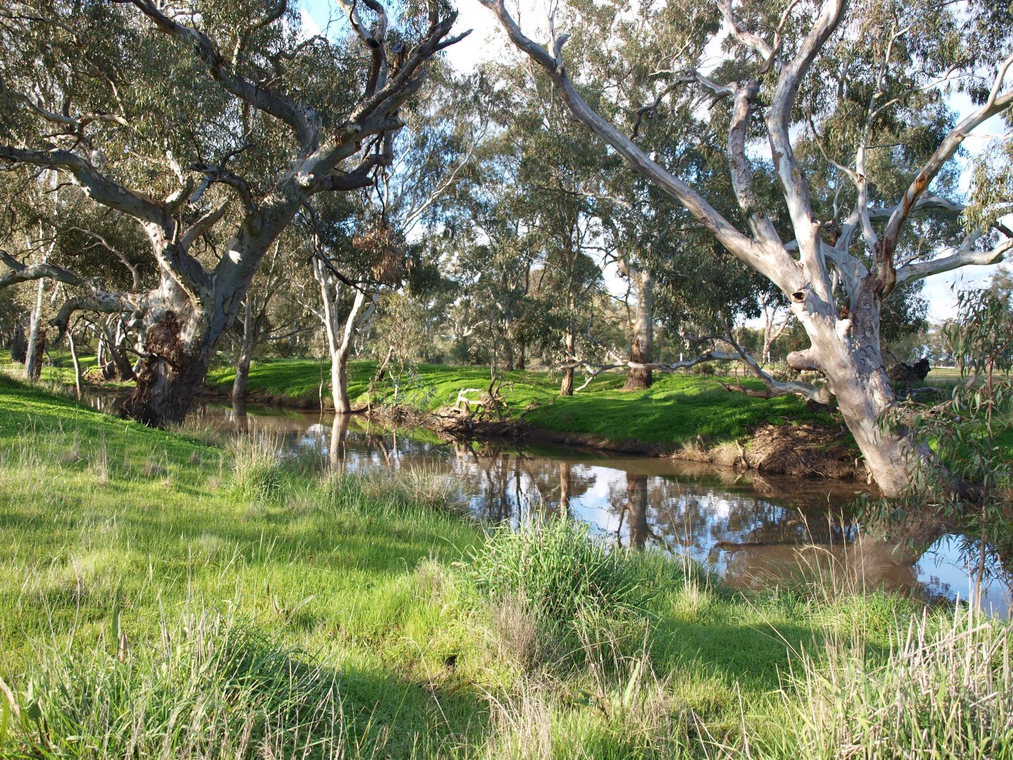 8A, B & C Sloans Road, Powlett Plains VIC 3517, Image 2