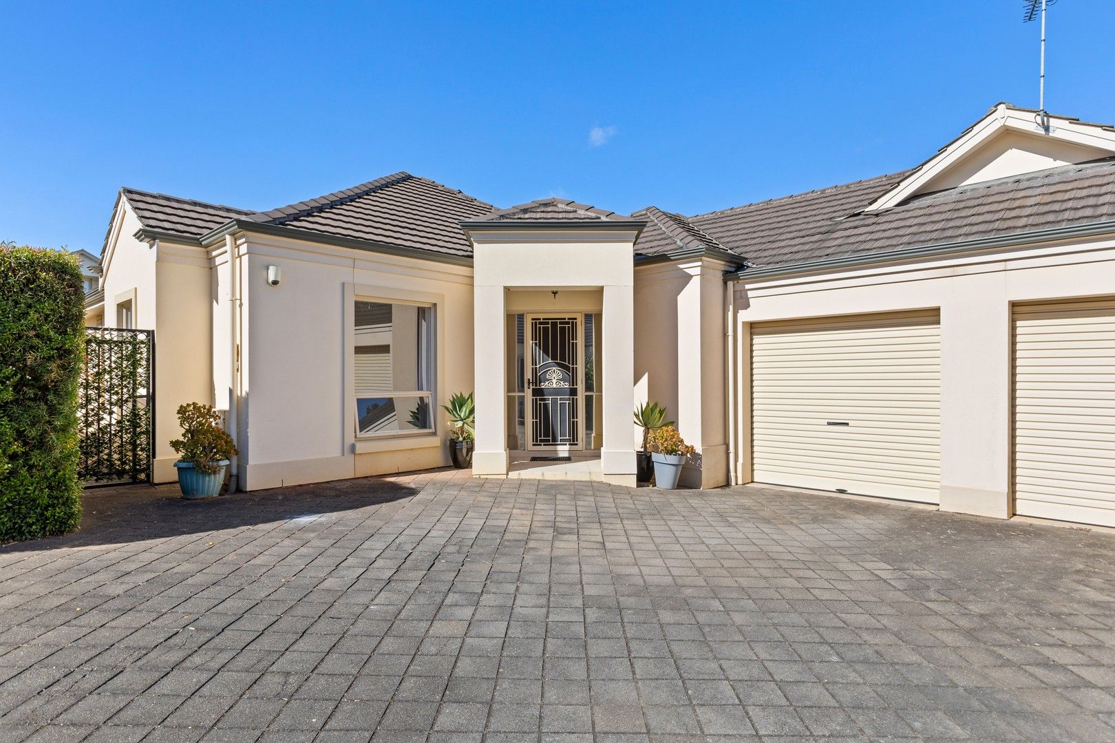 4/518 Magill Road, Magill SA 5072 House For Rent 650 Domain