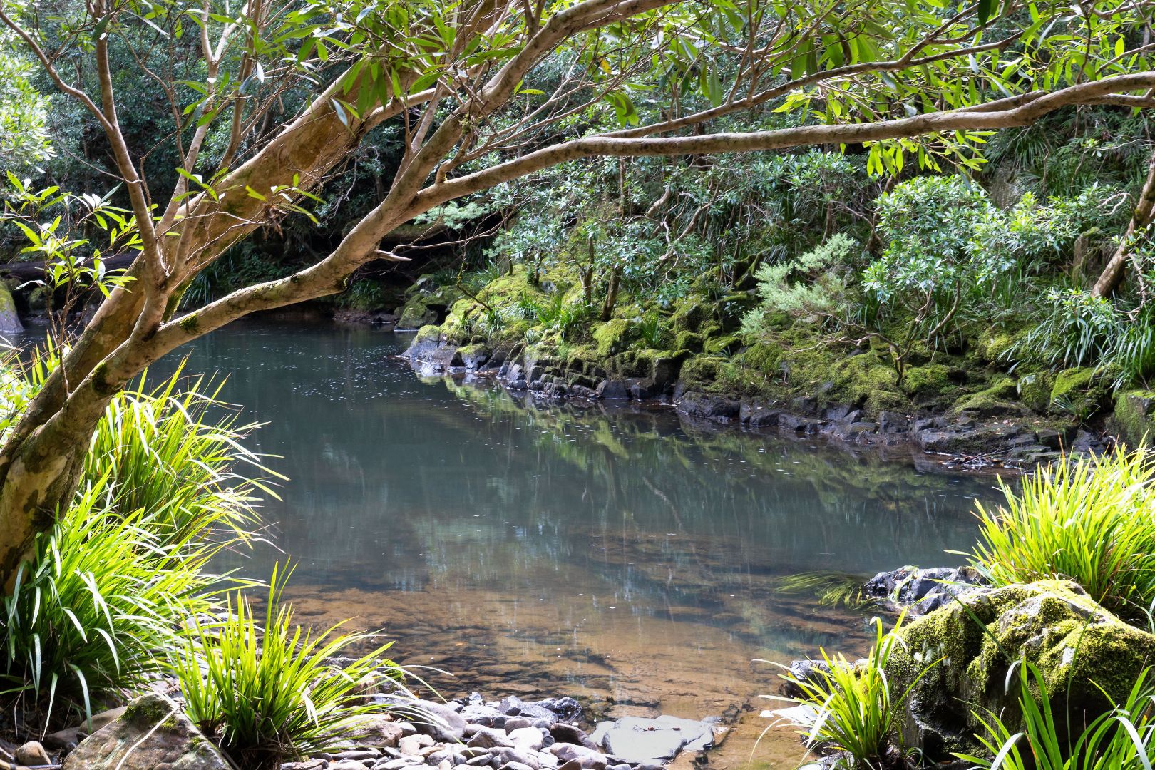 40 Frog Hollow Forest Road, Ulong Property History & Address Research