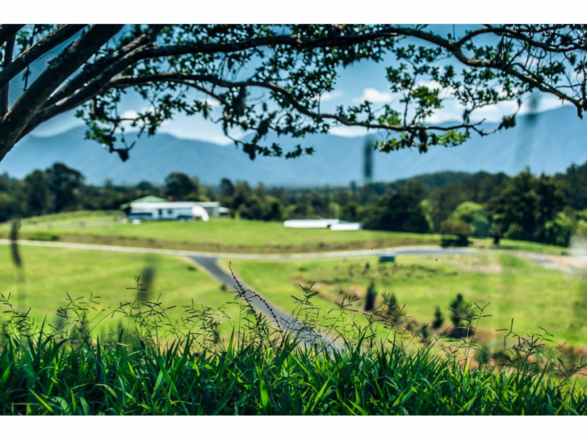 Lot 13 Mclean Drive, Bellingen NSW 2454, Image 0