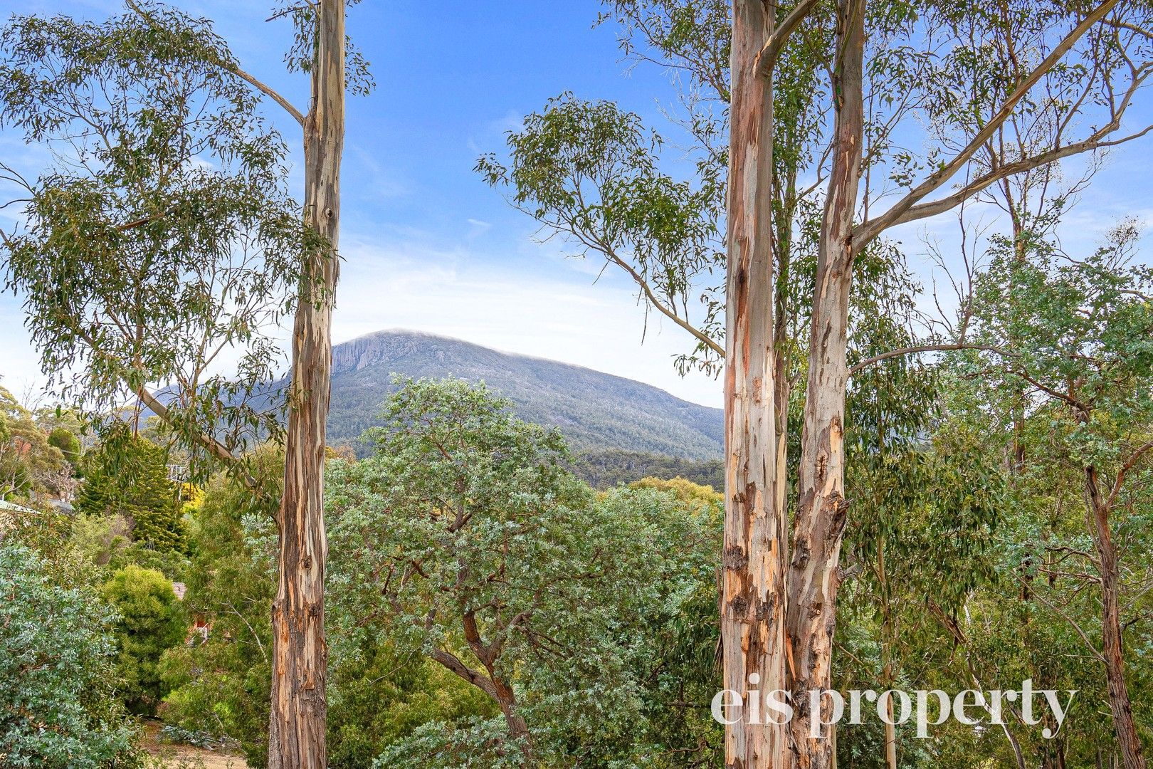 6 Agena Retreat, Lenah Valley TAS 7008, Image 0