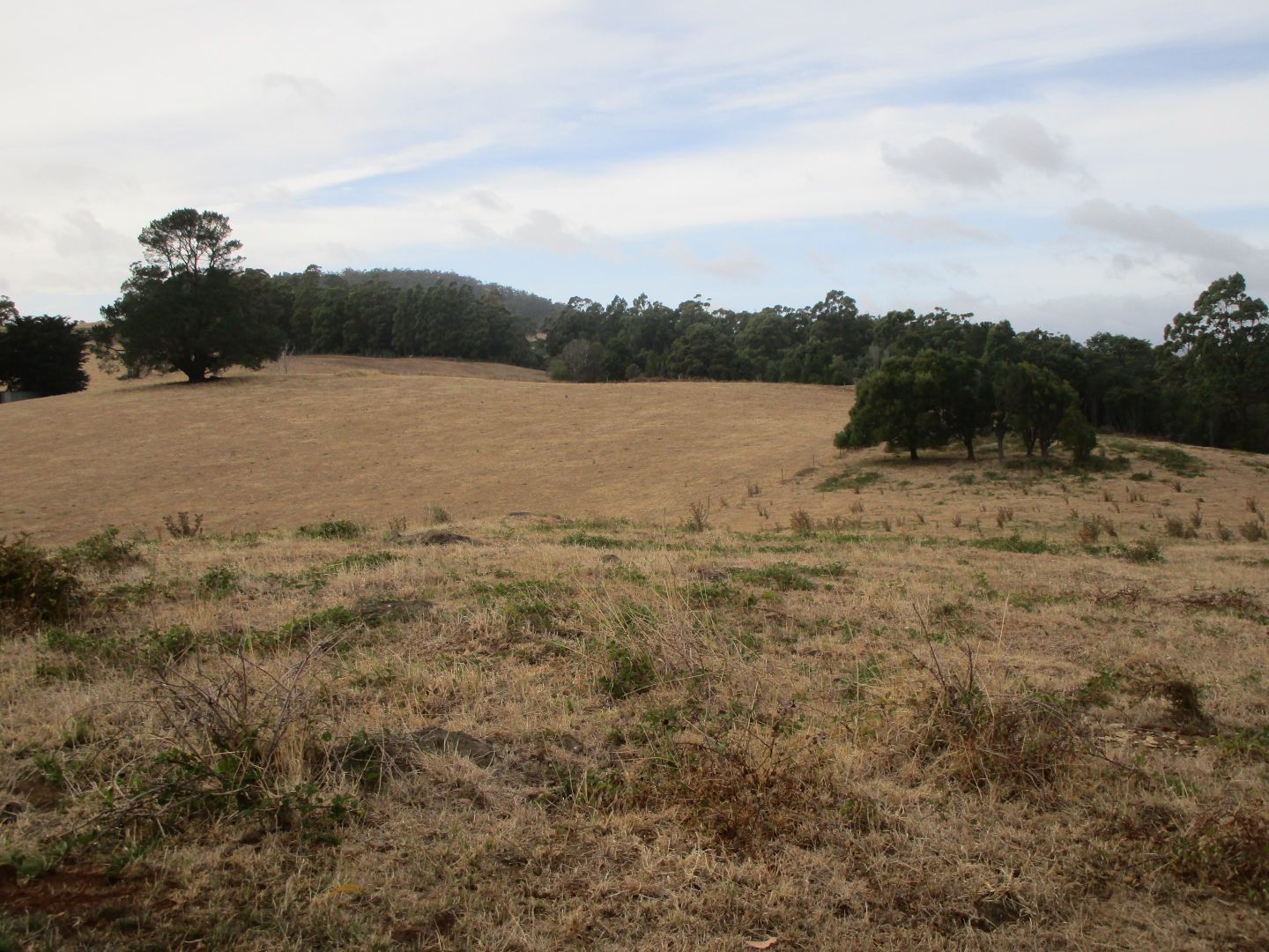 - Bretts Road, North Motton TAS 7315, Image 2