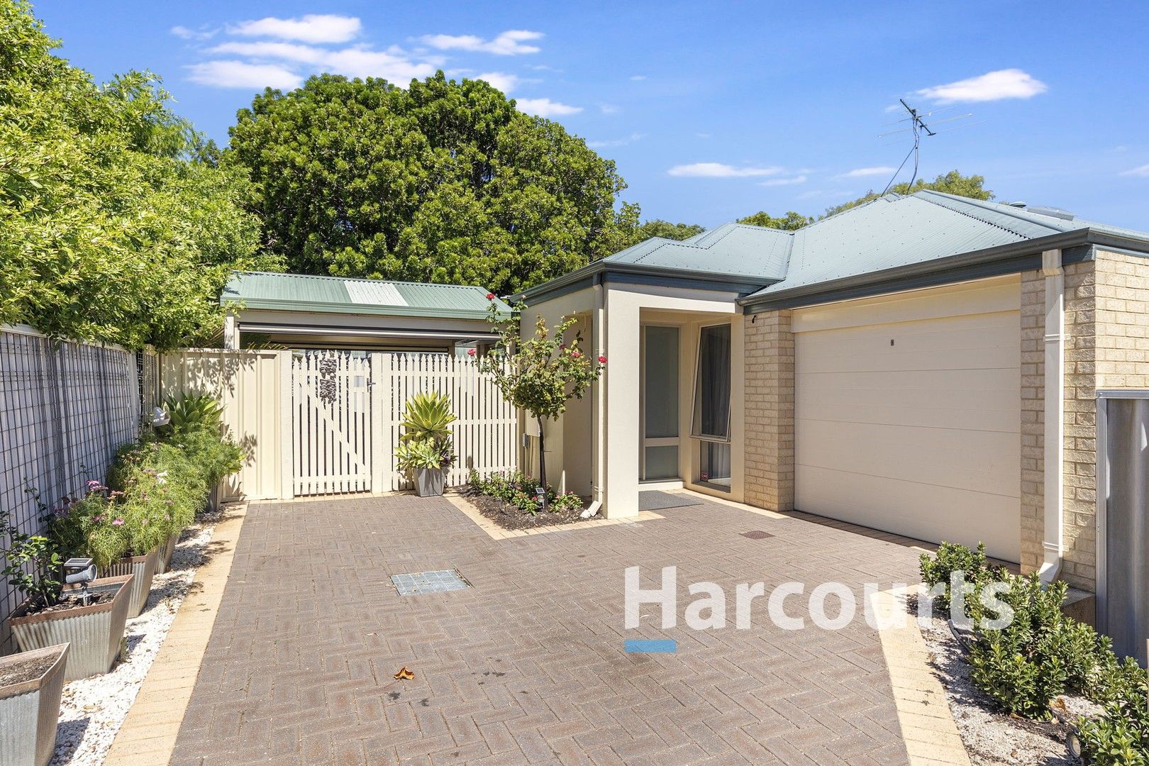 3/84 Dorset Street, West Busselton WA 6280, Image 0