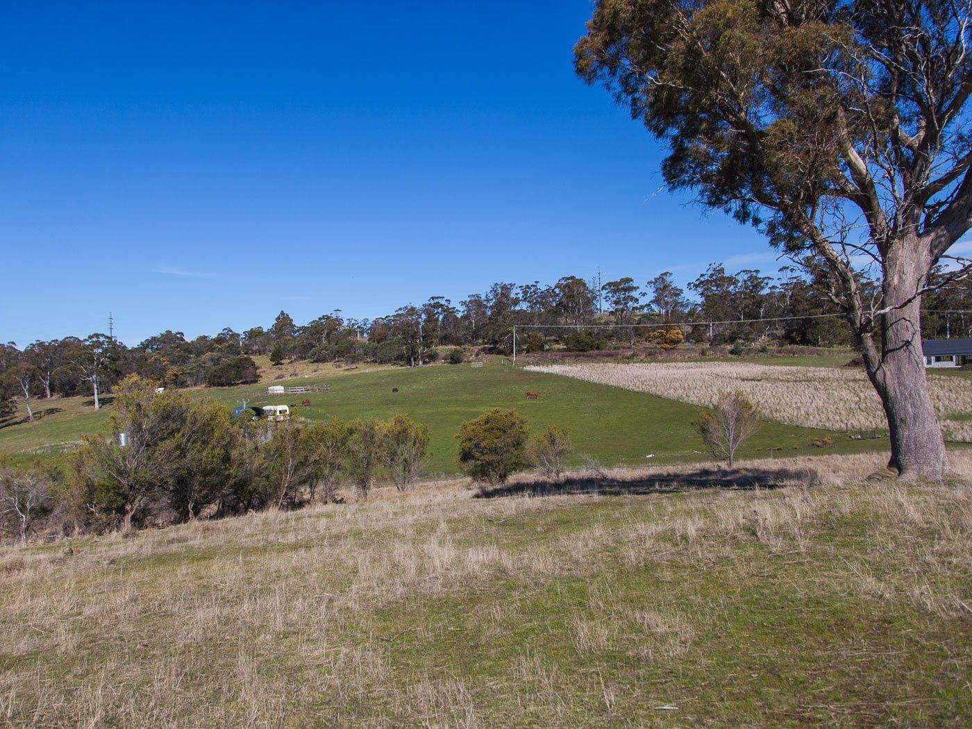 30 White Gum Rise, St Leonards TAS 7250, Image 2