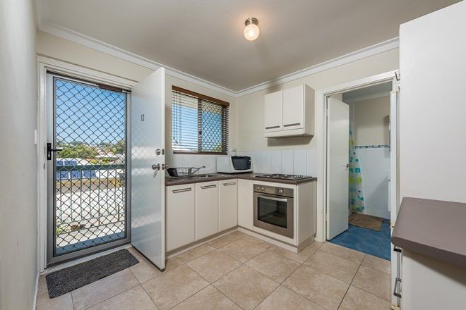 36 Apartments For Rent In Scarborough Wa 6019 Domain