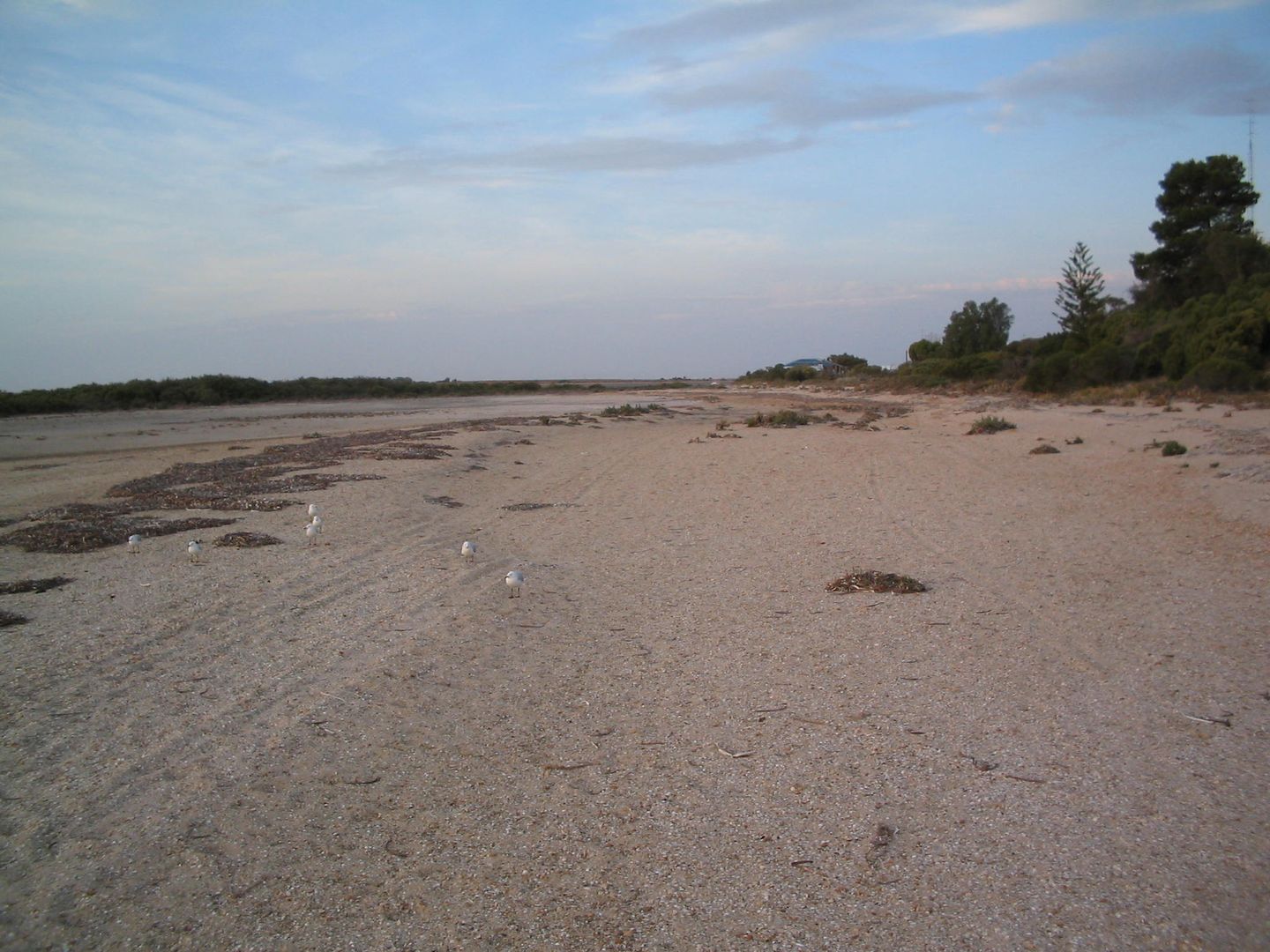 42 Whiting Road, Fisherman Bay SA 5522 Domain