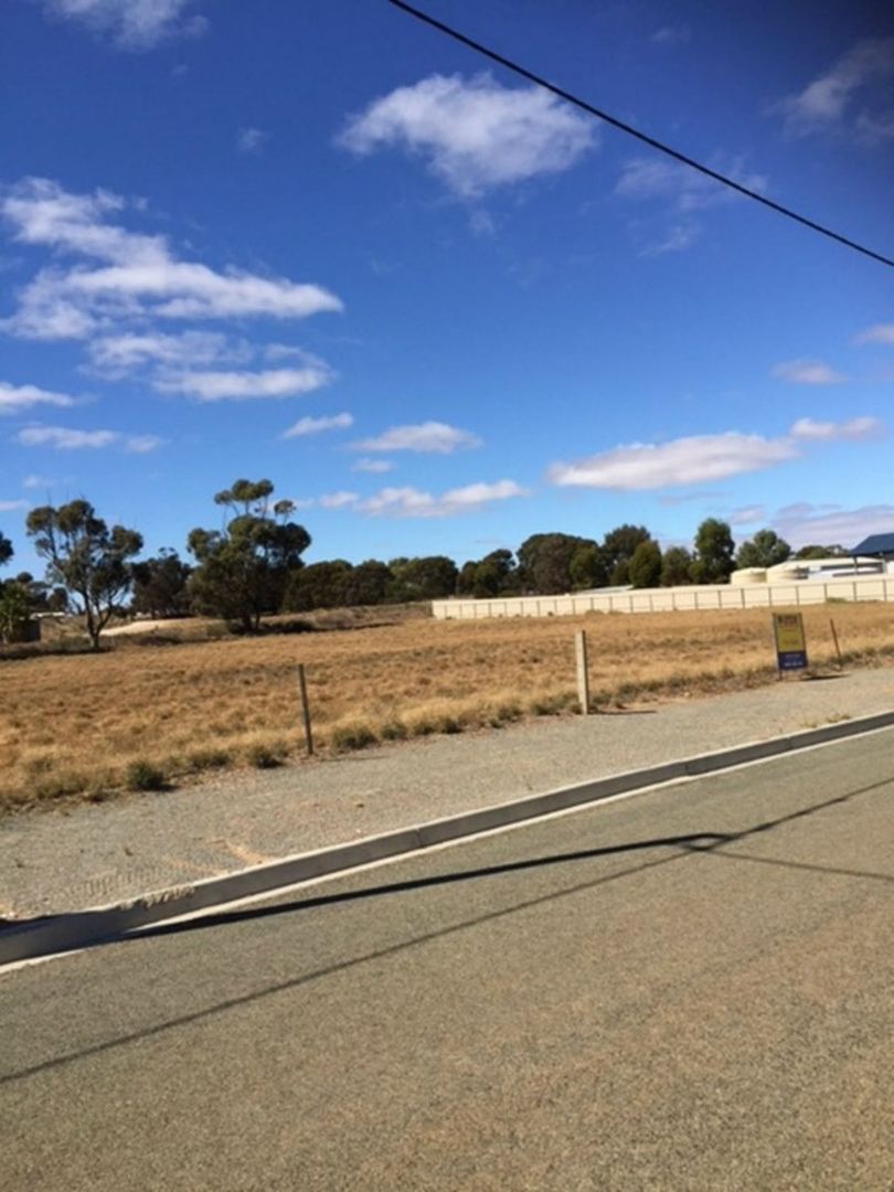 Lot 31 William Street, Booleroo Centre SA 5482, Image 2