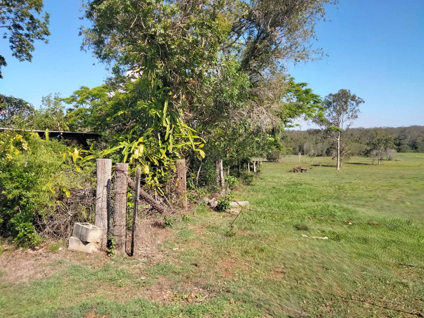 Image 36
