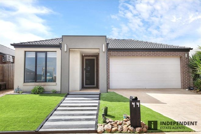 Picture of 44 Mapleton Boulevard, MELTON SOUTH VIC 3338