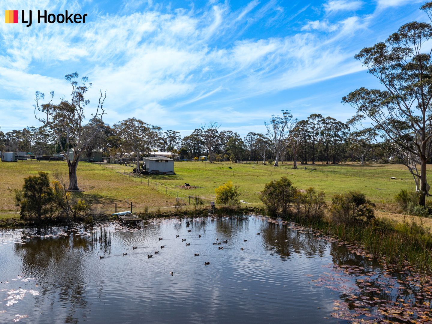 271 Turpentine Road, Tomerong NSW 2540 House for Sale Domain