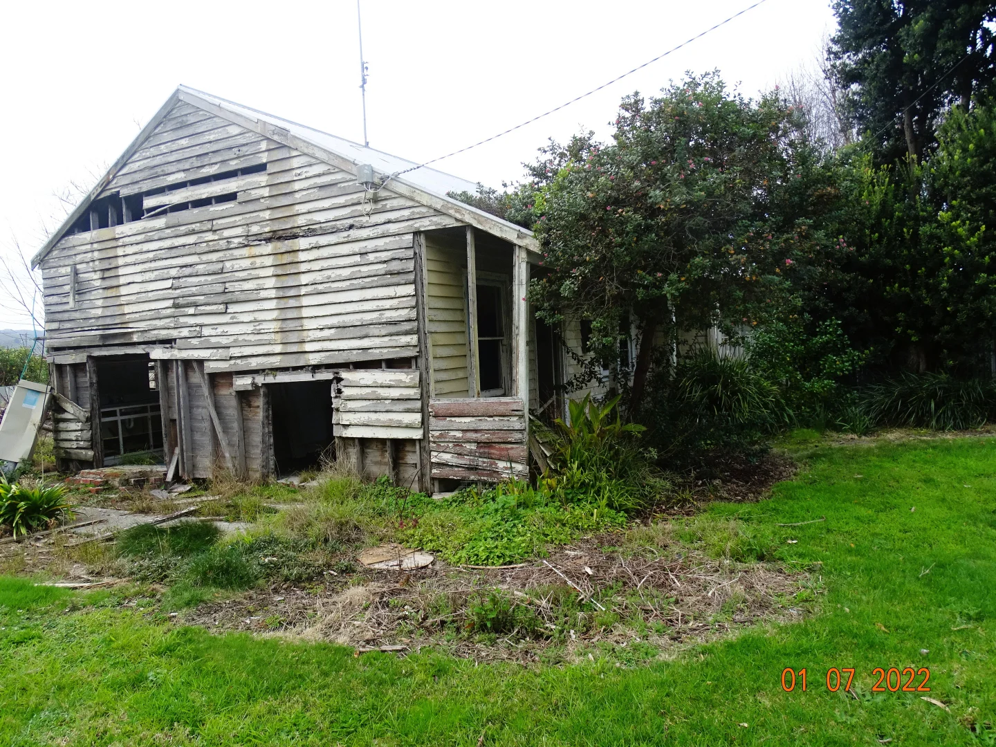 Image 7