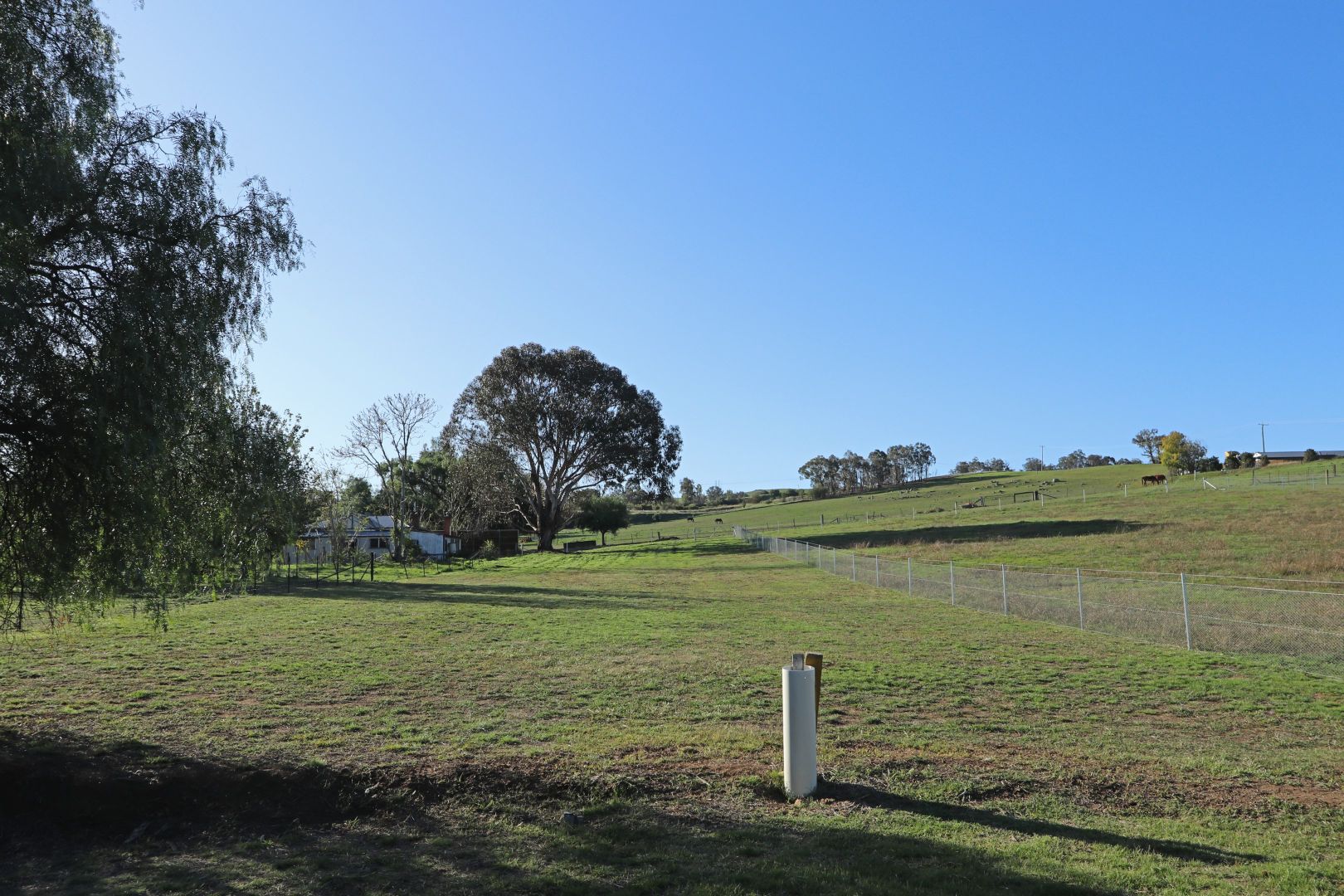 Lot 16 Taafe Street, Jugiong NSW 2726, Image 1