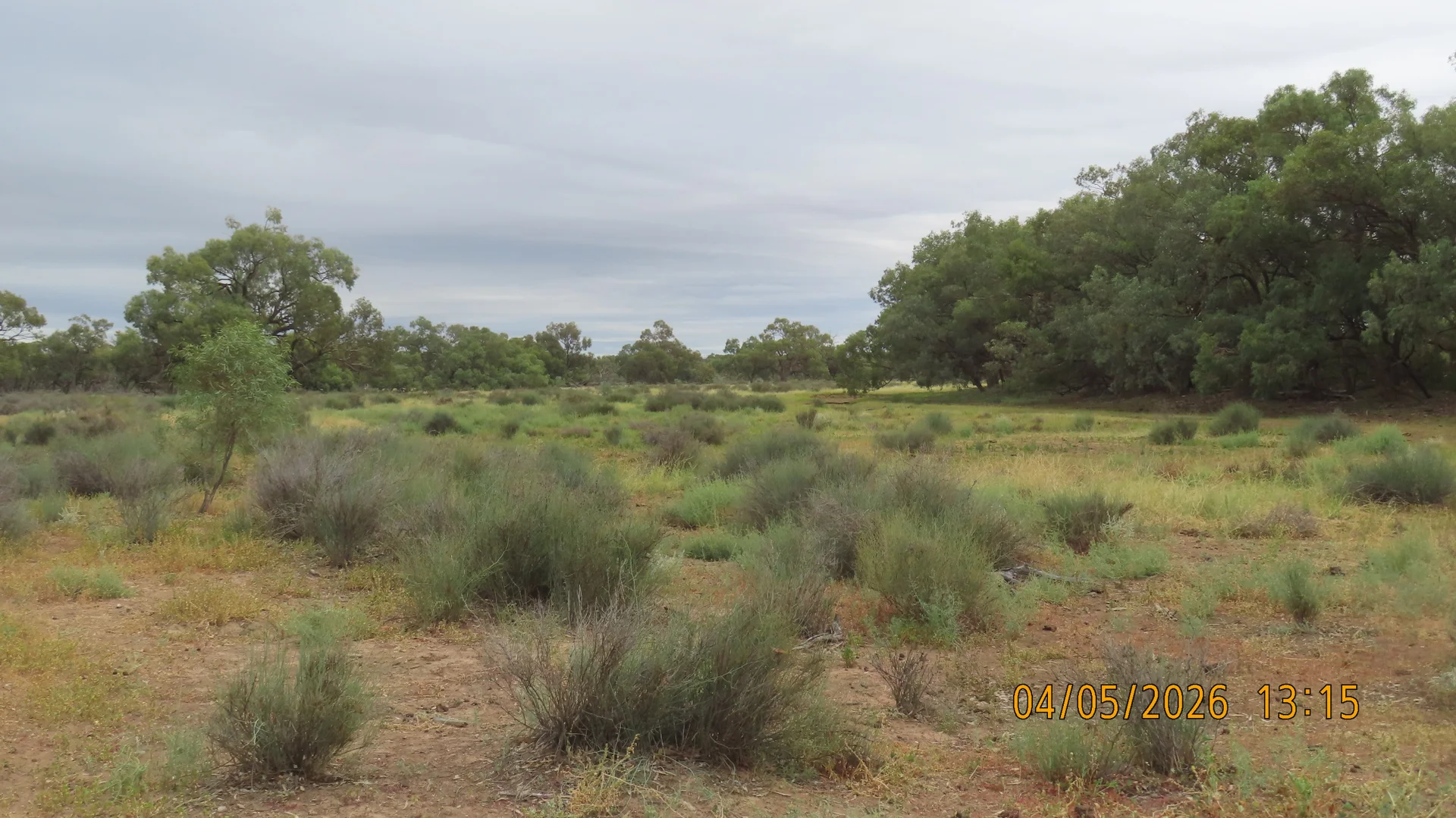 Image 11