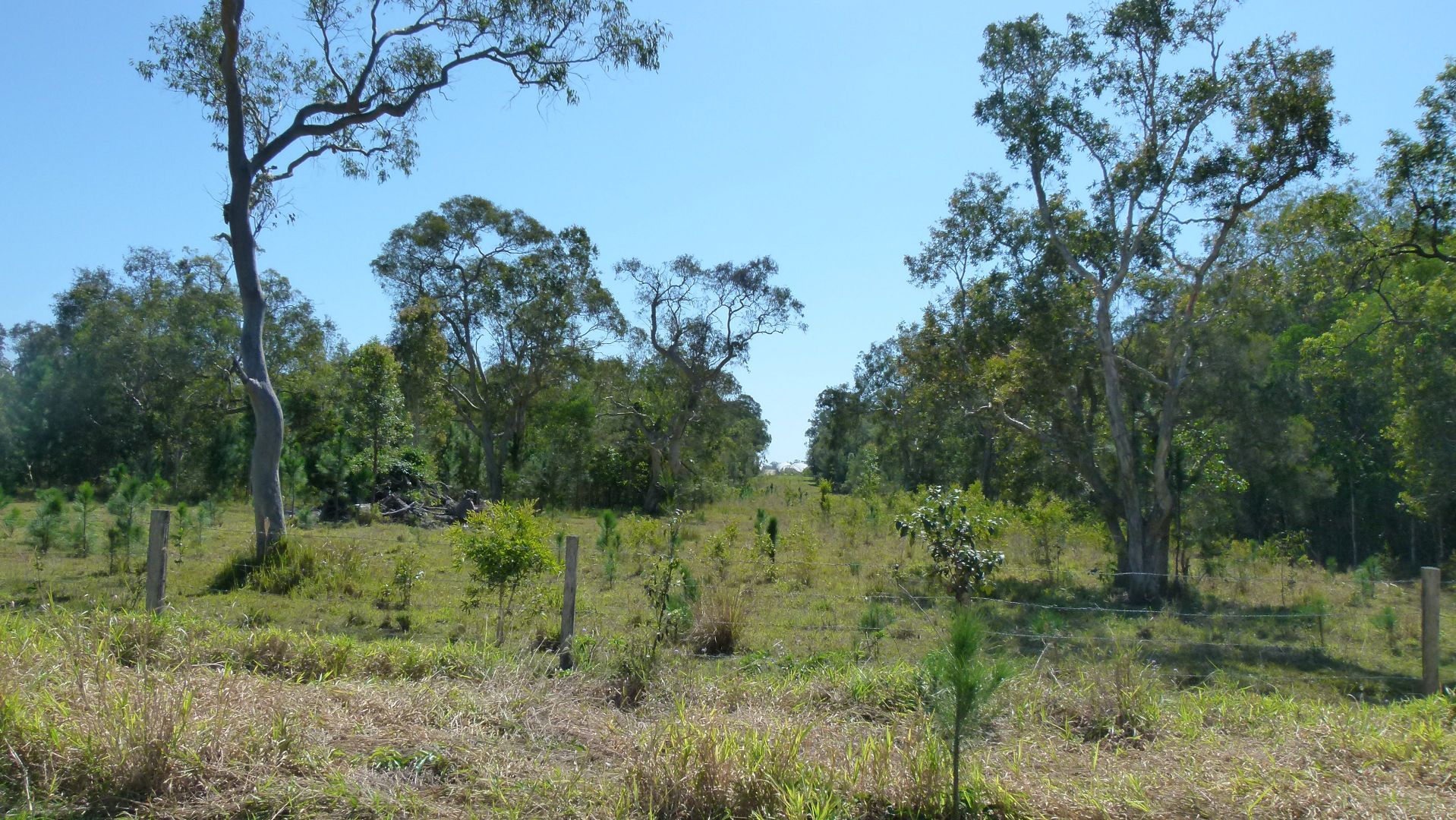 Wamuran QLD 4512, Image 1