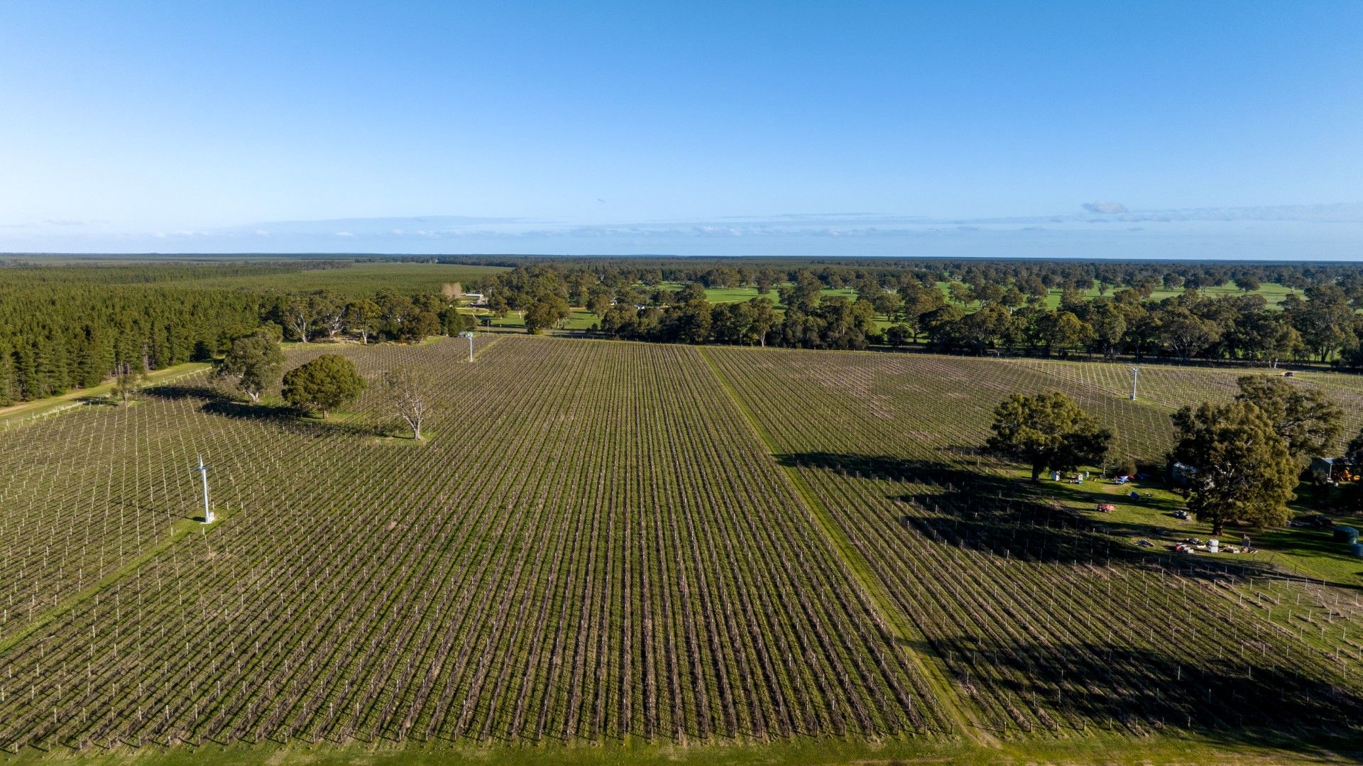 719 Casterton Road, Penola SA 5277, Image 2