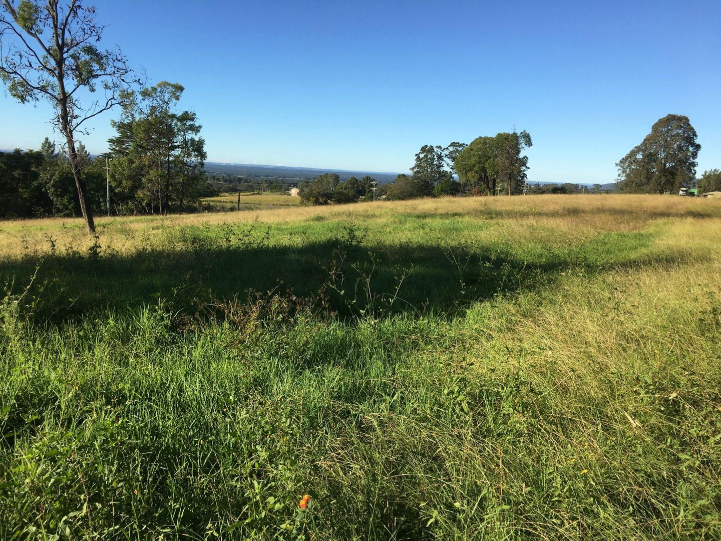 50 Cabbage Tree Road, Grose Vale Property History & Address Research Domain