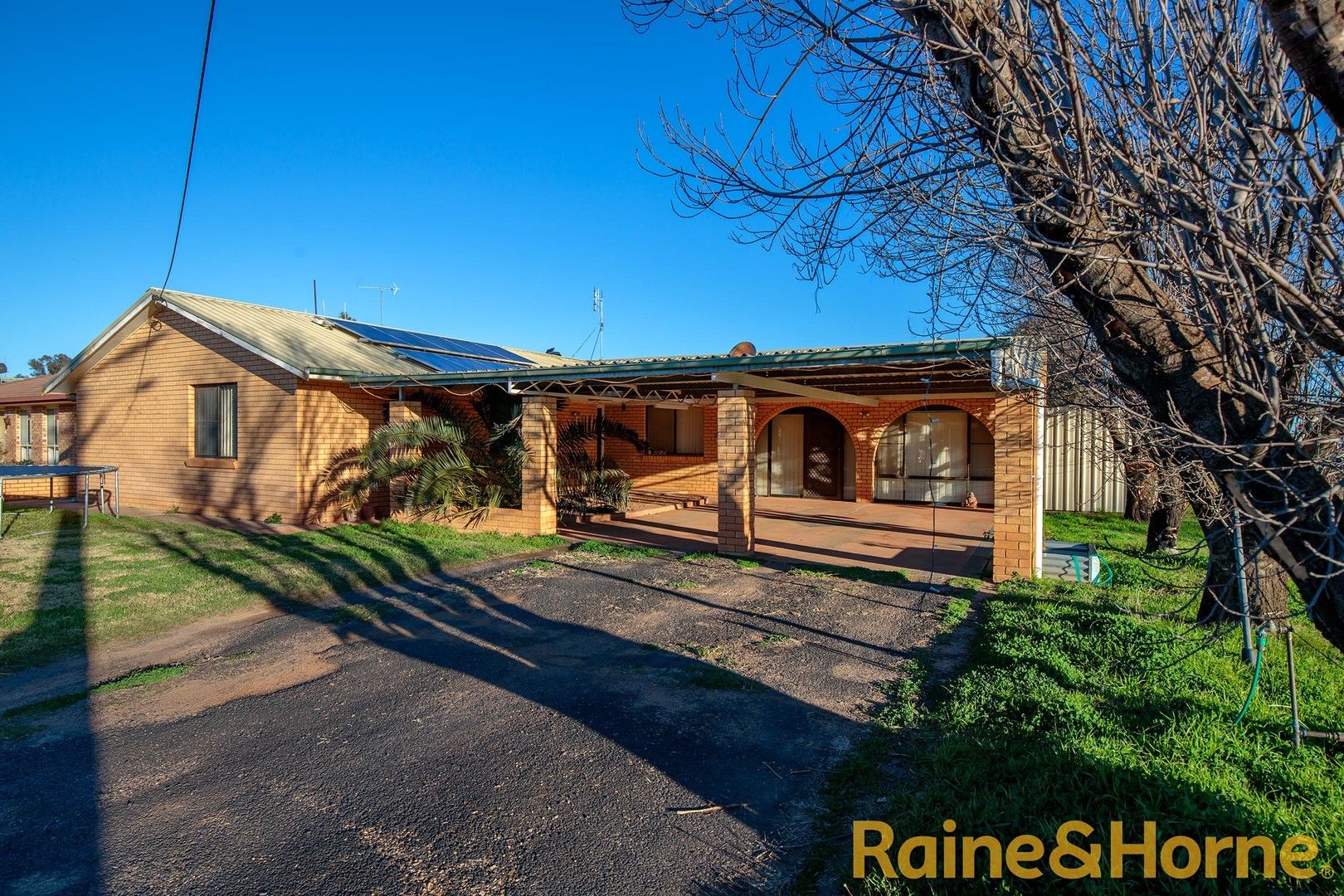 117 Commodore Crescent, Narromine NSW 2821, Image 0