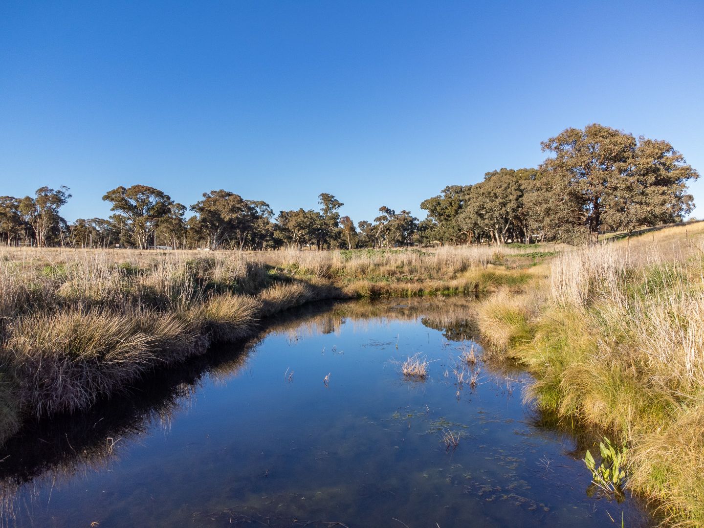 'Ashburnham' Cargo Road, Cargo NSW 2800, Image 2