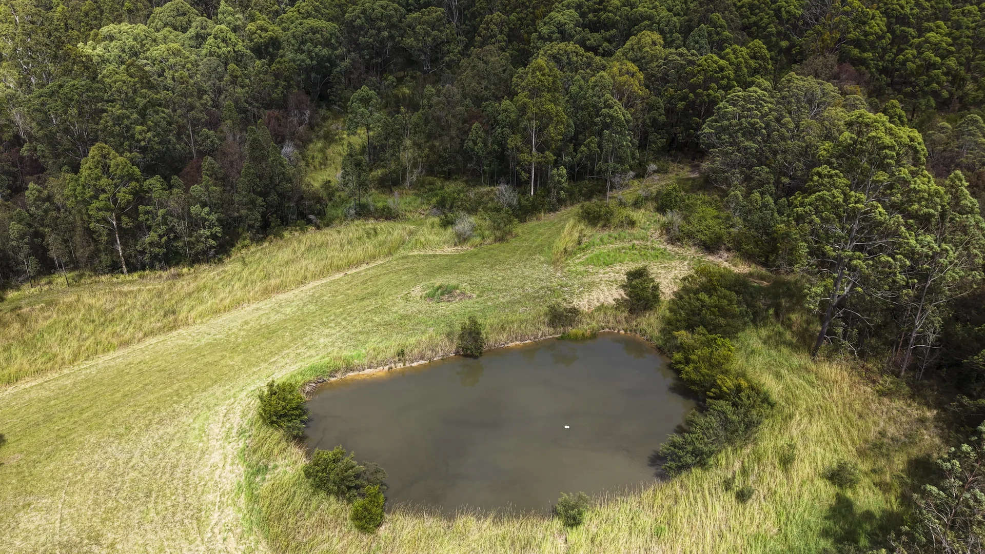 Additional image 6 of 800 Firth Heinz Road, Pillar Valley NSW 2462