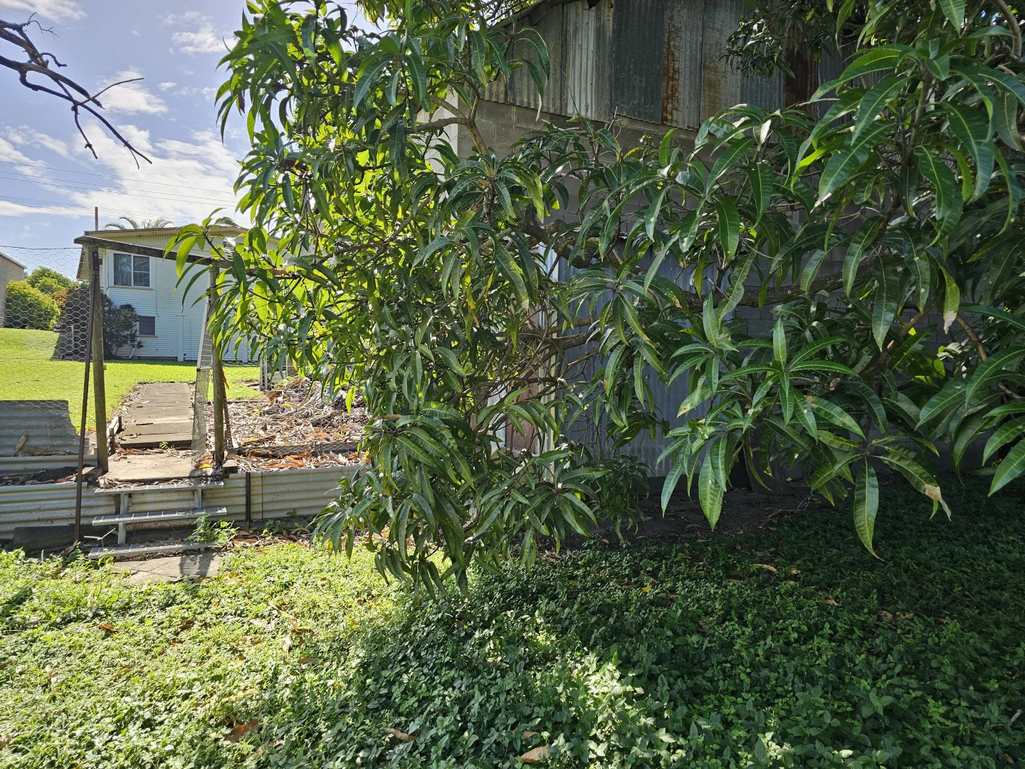Image 31