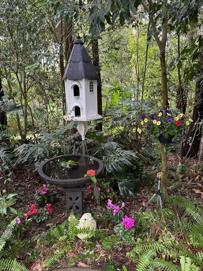 Image 30