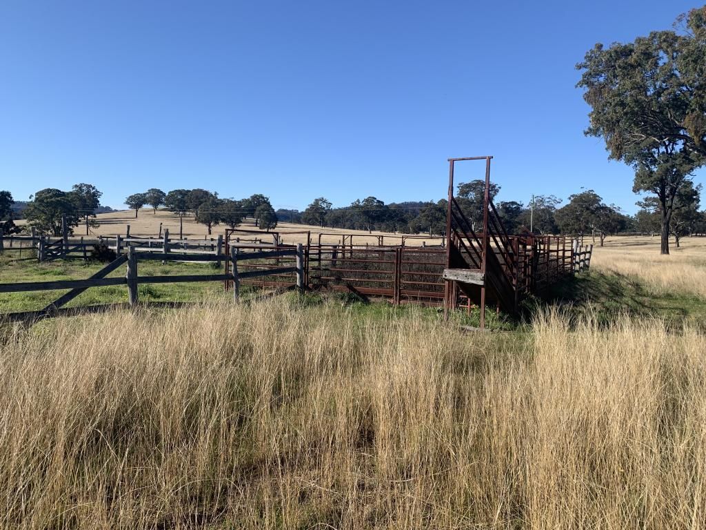 Lot1DP506025 Muscle Creek Road, Muscle Creek NSW 2333, Image 1