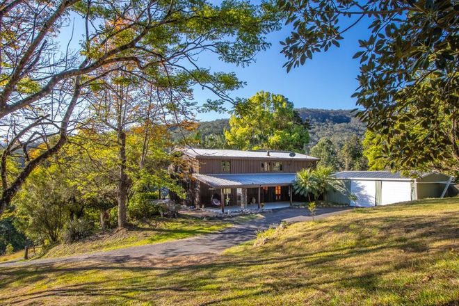 Picture of 1345 Tyalgum Road, EUNGELLA NSW 2484