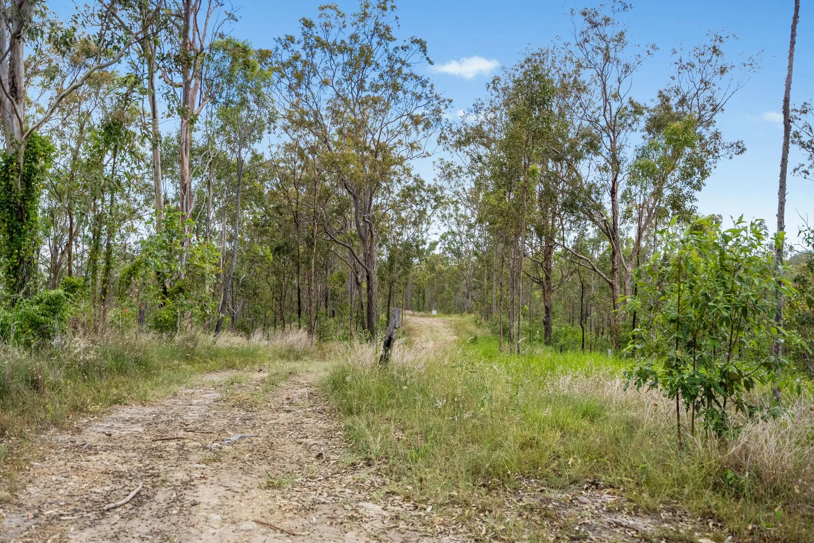 Image 15