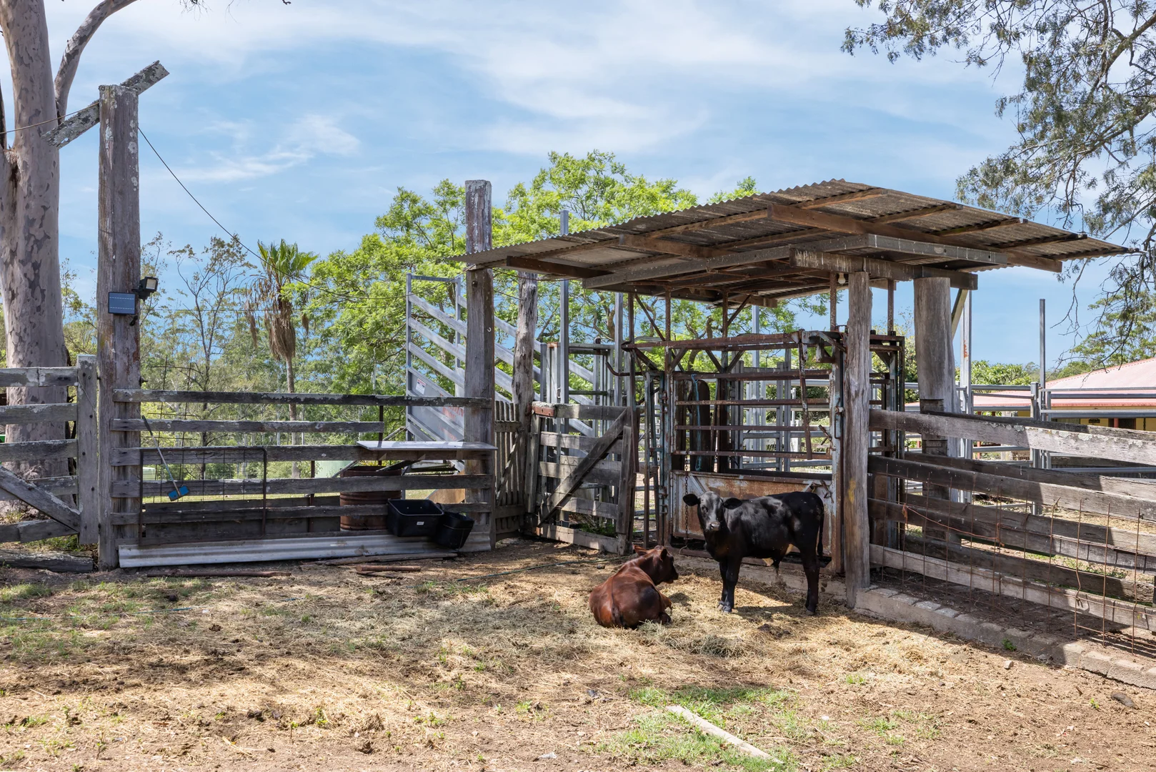 Additional image 18 of 1917 Armidale Road, Willawarrin NSW 2440