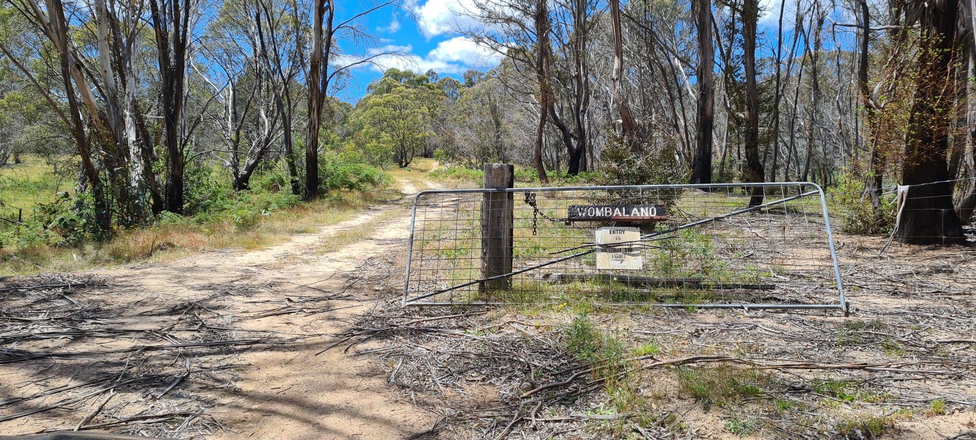 2 Narrowness Road, Glen Allen NSW 2631, Image 0