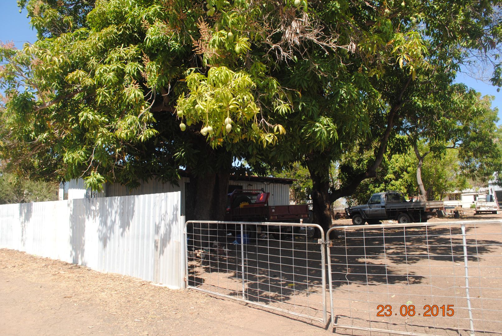 20 Woodward Street, Normanton QLD 4890, Image 1