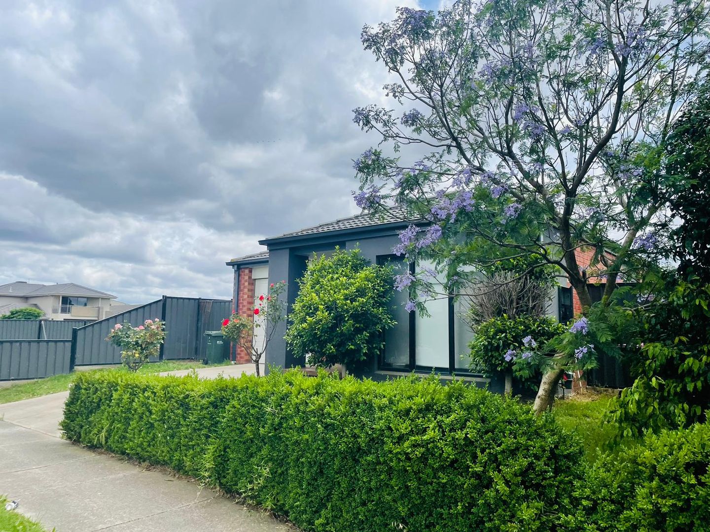 3 bedrooms House in 3 Whitebark Street WOLLERT VIC, 3750