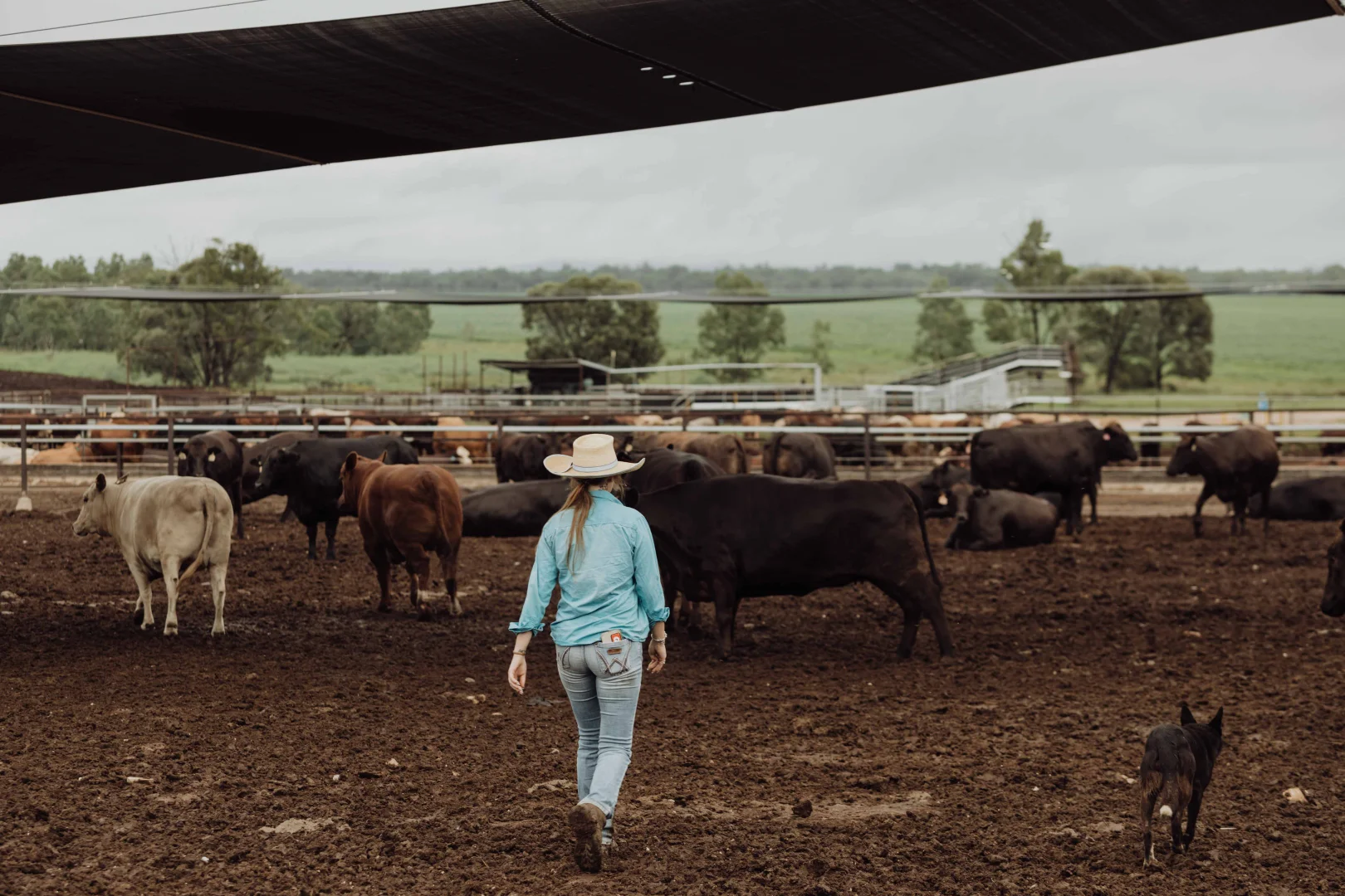 Additional image 5 of 2687 Dawson Developmental Road, Springsure QLD 4722