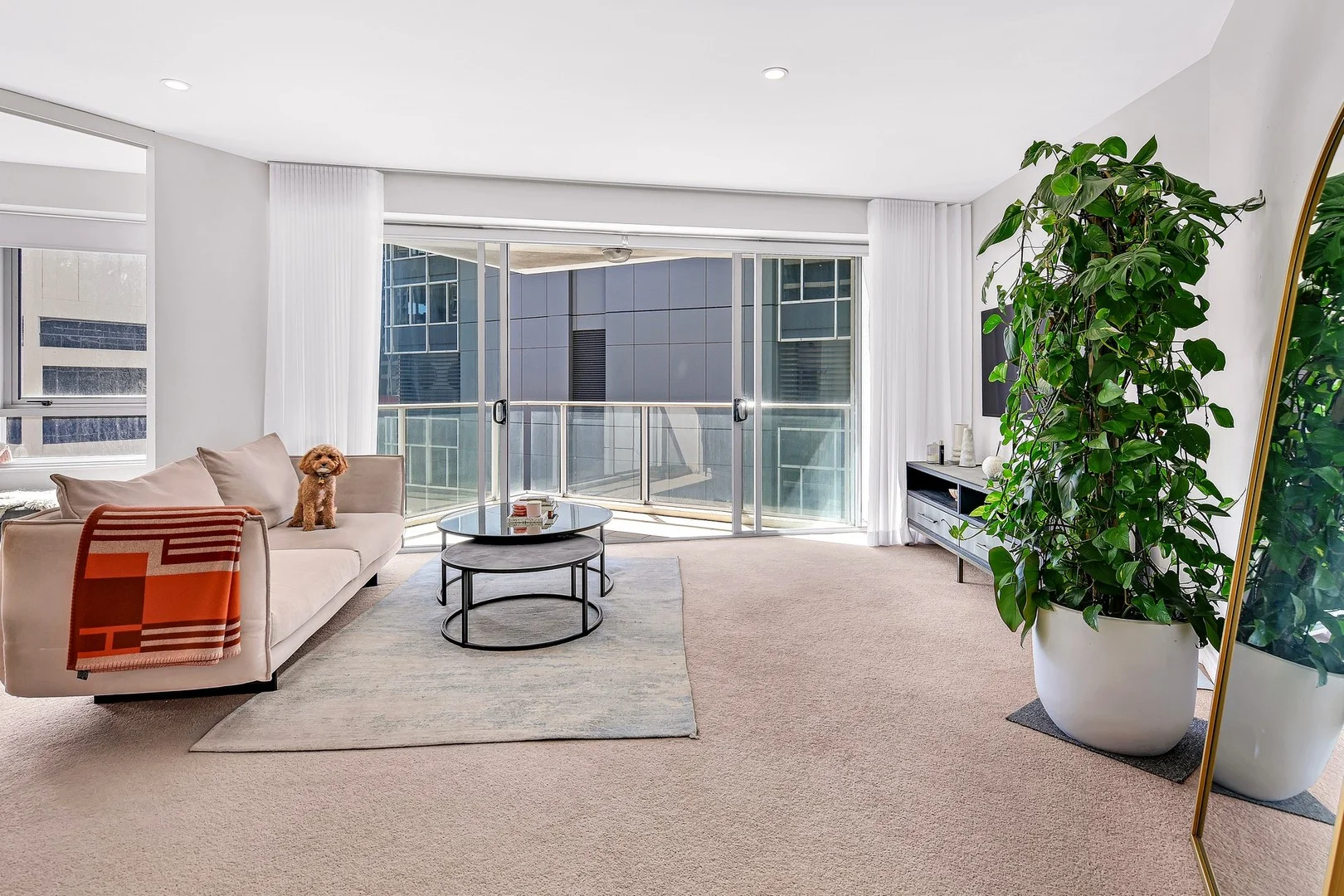 1008/79-81 Berry Street, North Sydney NSW 2060